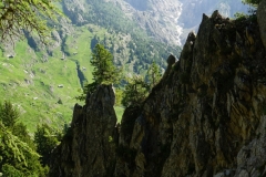 Tag Zwei: Aletsch Panoramaweg Belalp - Riederalp