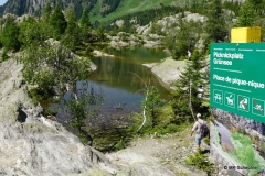 Tag Zwei: Aletsch Panoramaweg Belalp - Riederalp