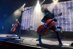 Apocalyptica in Ludwigsburg