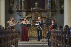 Das Aris Quartett