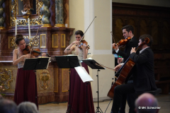 Das Aris Quartett