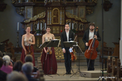 Das Aris Quartett