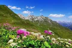 Blick aufs Rüggele