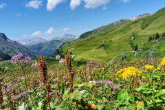 Und weiter Richtung Trittkopfalpe