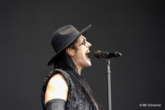Sänger Johannes Eckerström