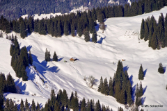 Blick auf das Allgäu