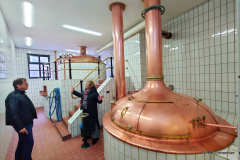 8b_2026-03-26-16.52.28_Radiant