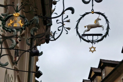 3j_2026-03-25-17.29.14_Radiant