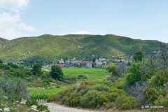 Weinberge rund um Kloster Metochi Chromitsa