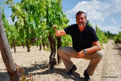 Weinberge rund um Kloster Metochi Chromitsa