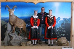 Viele Hörner ...