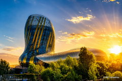 d1_2026-06-22-11.45.58