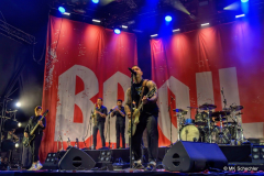 Broilers in Ludwigsburg