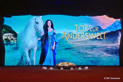 2026-03-08-12.58.54_Radiant