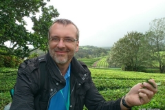 Unterwegs auf den Azoren – N-News.de Redakteur MK Schechler in der Teeplantage Cha Gorreana