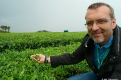 Unterwegs auf den Azoren – N-News.de Redakteur MK Schechler in der Teeplantage Cha Gorreana