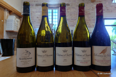 Weinprobe