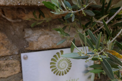 Domaine Lefort in Rully