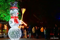Lichtfiguren und Weihnachtsstände