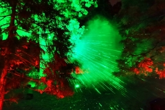 Im "verzauberten Laserwald"