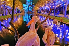 "Lights in Damaskus" und "Mytische Kristallallee"