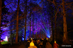 2024-12-30-19.28.39_Radiant
