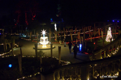 DS703434_Radiant