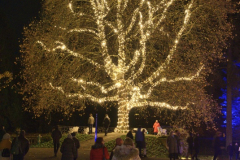 Christmas Garden Mainau 2022