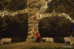 Christmas Garden Mainau 2022