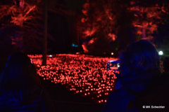 Christmas Garden Mainau 2022