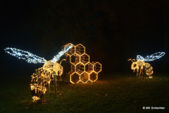 Christmas Garden Mainau 2022