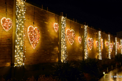 Christmas Garden Stuttgart 2024/25