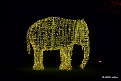 Lichtelefant
