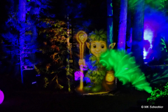 DS703552_Radiant