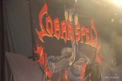 Cobra Spell "Im Wizemann"