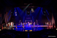 Premierenabend in der ausverkauften Porsche-Arena Stuttgart