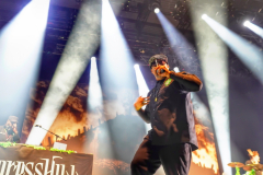 CYPRESS HILL „Black Sunday 30th Anniversary Tour“ in der Stuttgarter Porsche Arena