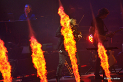 David Garrett