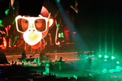 "Dance Monkey"