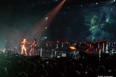 DSC07951