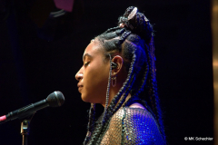Dominique Fils-Aimé