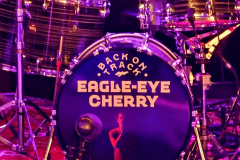 Eagle-Eye Cherry Im Wizemann Stuttgart