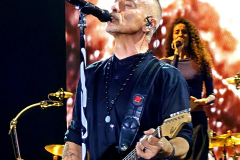 c2_optimized_image-5