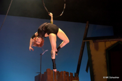 Jana Vogel "Aerial hoop"