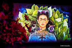 VIVA FRIDA KAHLO in Stuttgart