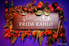 VIVA FRIDA KAHLO in Stuttgart