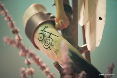 Heilung „Dreki Ferdhast Germany 2024“ in Stuttgart