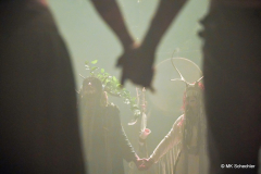 Heilung „Dreki Ferdhast Germany 2024“ in Stuttgart