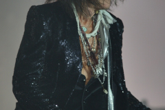 Joe Perry