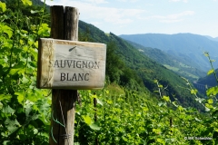 Grottnerhof: Weingut aus dem 13. Jahrhundert